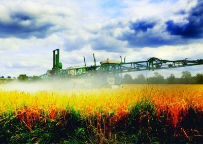 Reality Check: Many Food Crops Are Sprayed with Glyphosate Weed Killer Before Harvest