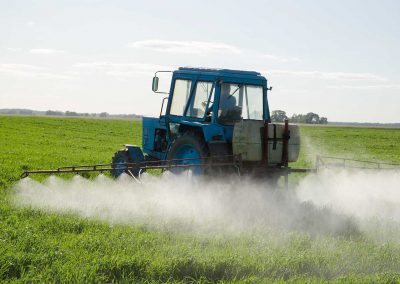 Federal Court Rejects Trump EPA Glyphosate Decision Because Agency Ignored Cancer and Endangered Species Risks