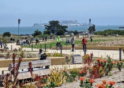 Presidio Tunnel Tops: How San Francisco Turned a Dangerous Highway Into a Kids’ Paradise