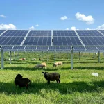 Farmers in the Midwest Are Turning to Solar to Boost Profits