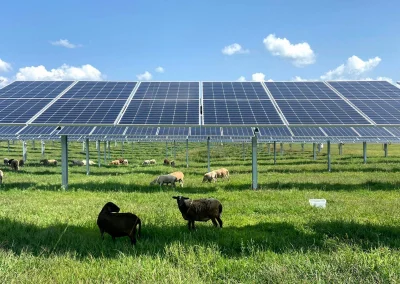 Farmers in the Midwest Are Turning to Solar to Boost Profits