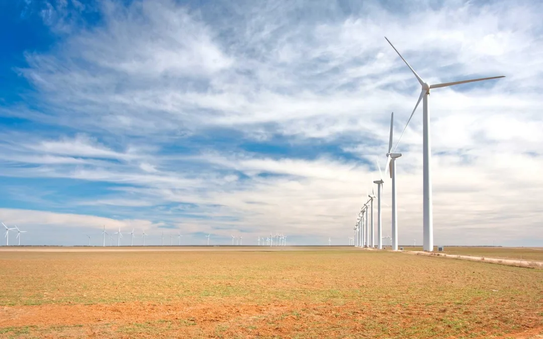 Energy Surprise: Which States Generated the Most Renewable Energy in 2022?