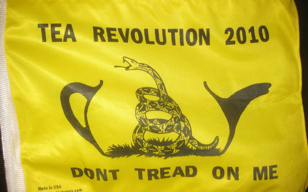 How Right Wing Extremists Groups Got IRS Tax-Exempt Status, and Managed to Keep It