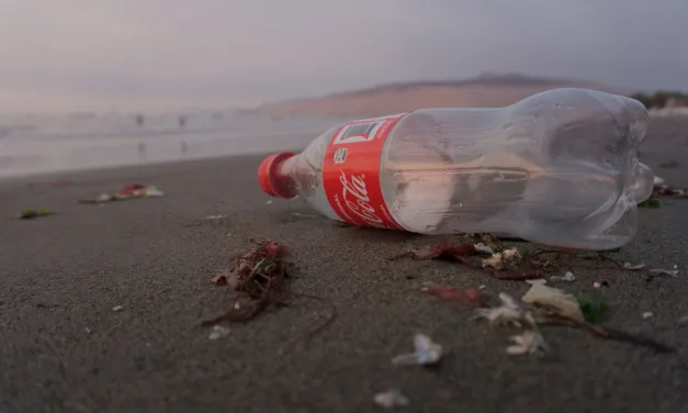 How Plastic Bottles Harm Human Health at Every Stage of Their Life Cycle