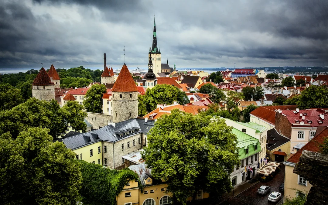 Estonia’s E-Governance Revolution Hailed as a Voting Success