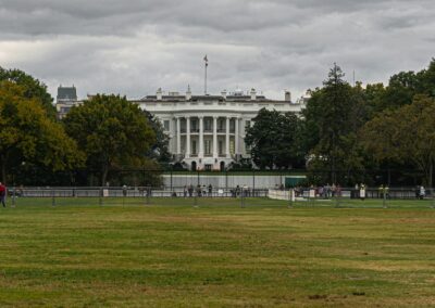 We Voted Nazis Into the White House, Again. Now What?