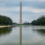 Nature Has Better Solutions Than Chemicals When Your Local Reflecting Pool Turns Green With Algae