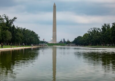 Nature Has Better Solutions Than Chemicals When Your Local Reflecting Pool Turns Green With Algae