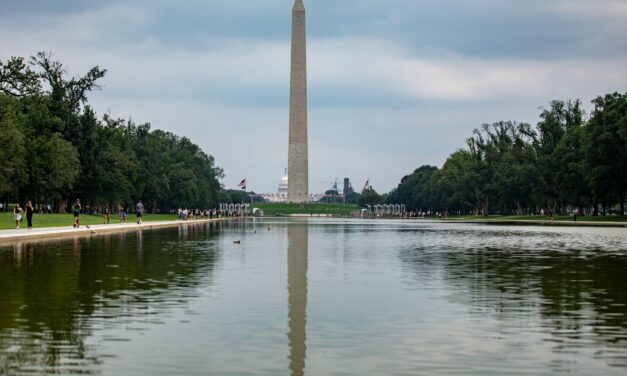 Nature Has Better Solutions Than Chemicals When Your Local Reflecting Pool Turns Green With Algae