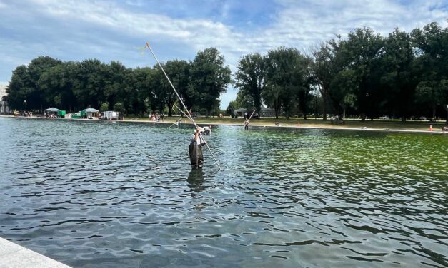 We Can See Trump’s Reflection in the Reflecting Pool