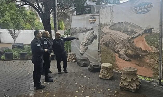 Israel Advances Plan for Trump-Inspired Prison Surrounded by Crocodiles for Palestinians