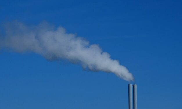 Trump Administration Works to Block Citizen Suits From Enforcing Environmental Protection Laws