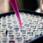The Other One Percent: The Funding Spent on Women’s Health Research