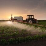Why Safe Food Isn’t Partisan Issue—Plus a MAHA Questionnaire for Every Candidate